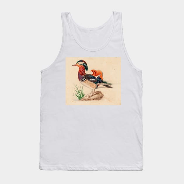 Mandarin Duck (Male) by Ferdinand von Wright Tank Top by Classic Art Stall